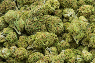 pile of marijuana buds, weed pot