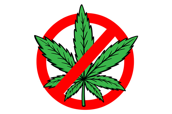 marijuana leaf with red x over it symbolizing no marijuana or prohibit marijuana