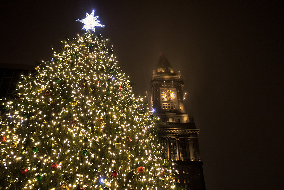 Photo of Christmas tree and Custom House Tower peaks