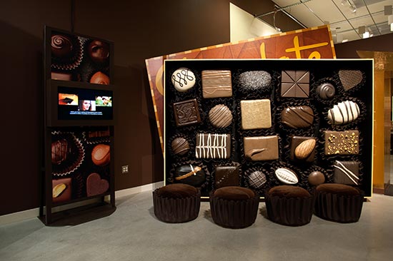 Museum of Science’s special exhibit, Chocolate
