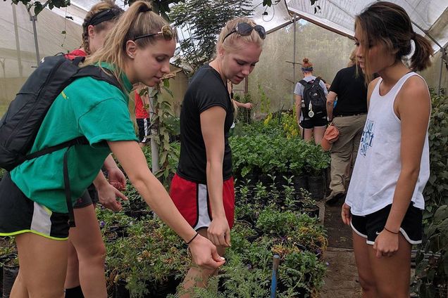 Katie Fillion, Lauren Delp, Marissa Inouye tasting fresh herbs