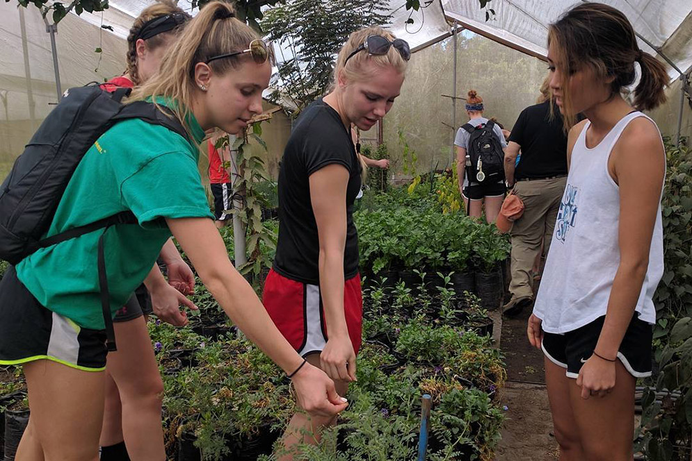 Katie Fillion, Lauren Delp, Marissa Inouye tasting fresh herbs