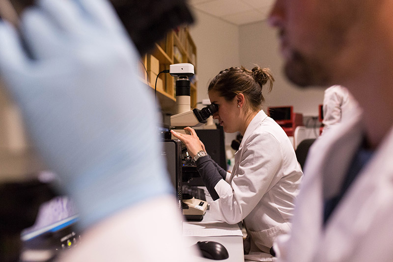 students work in a research lab at boston university