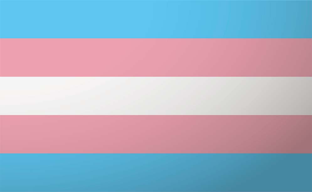 transgender flag