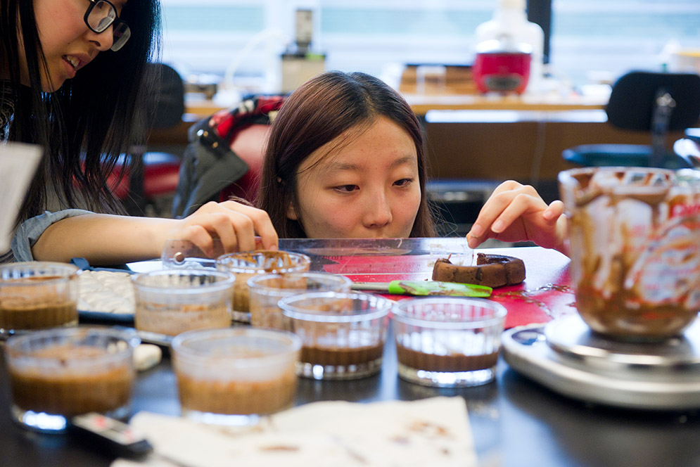 Students will participate in hands-on cooking labs in Metropolitan College’s Science of Food and Cooking course.