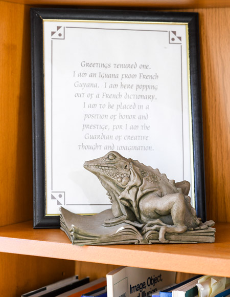 Tea bags in the office of Boston University professor Alice Cronin-Golomb