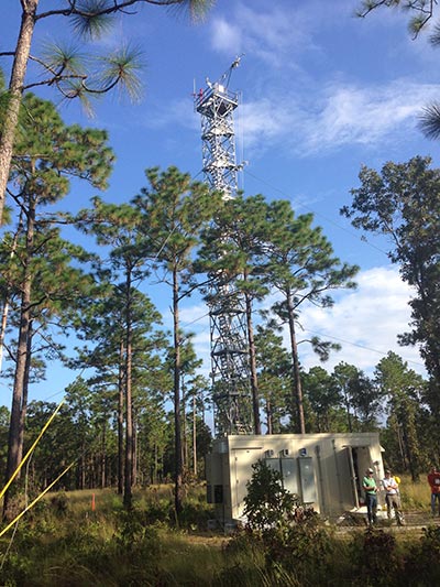 Biological station operated by University of Florida located in a longleaf pine forest in Southeastern United States