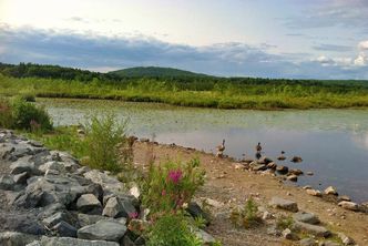 Blue Hills Reservation