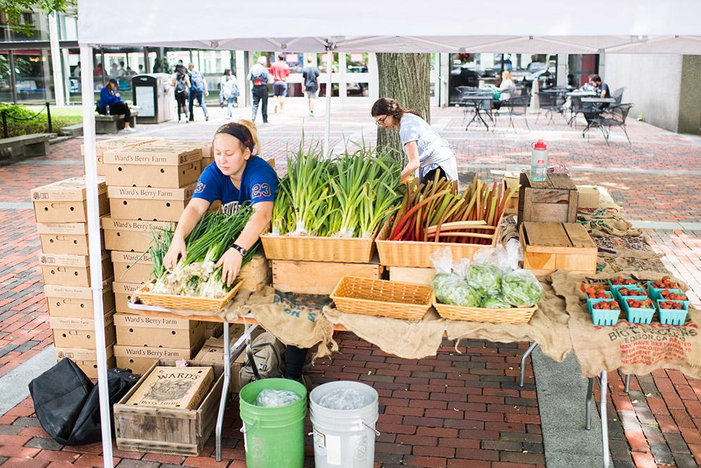 Brianna Arnold and Staci Pinkowitz setting up CSA stand