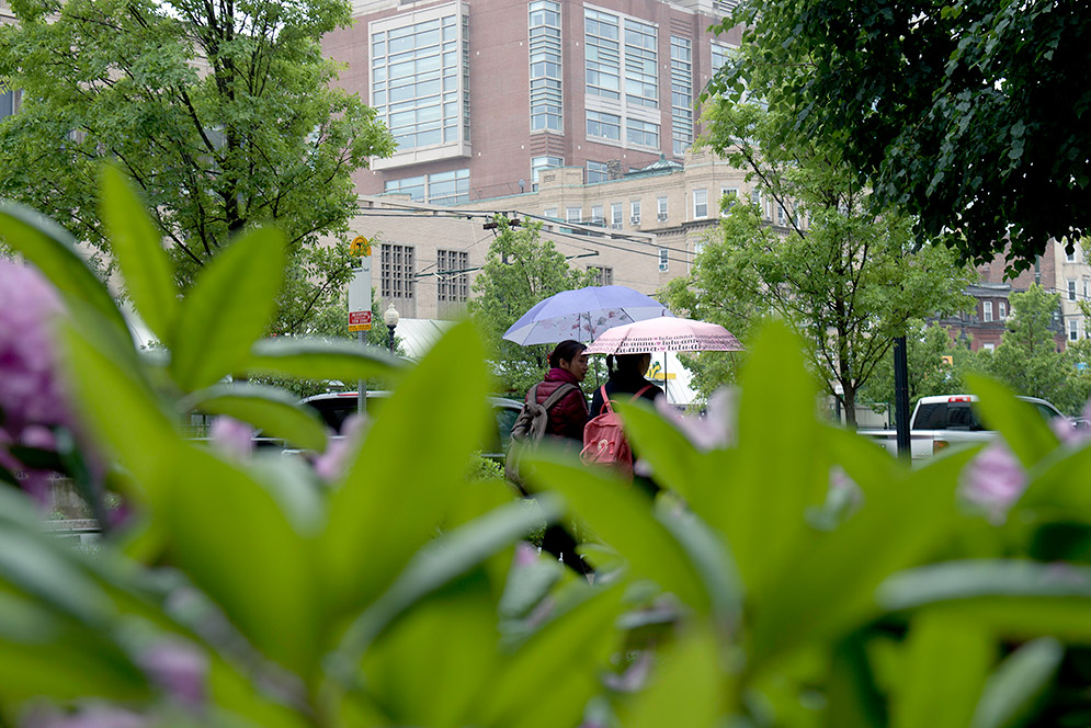 Two women walking with umbrellas