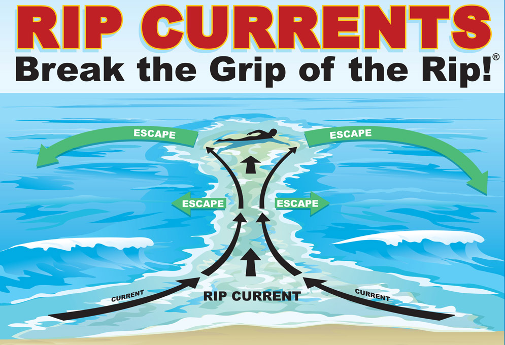 Illustration of person swimming parralel to shore