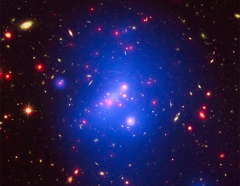 A young galaxy cluster seen in X-rays, visible light, and infrared light