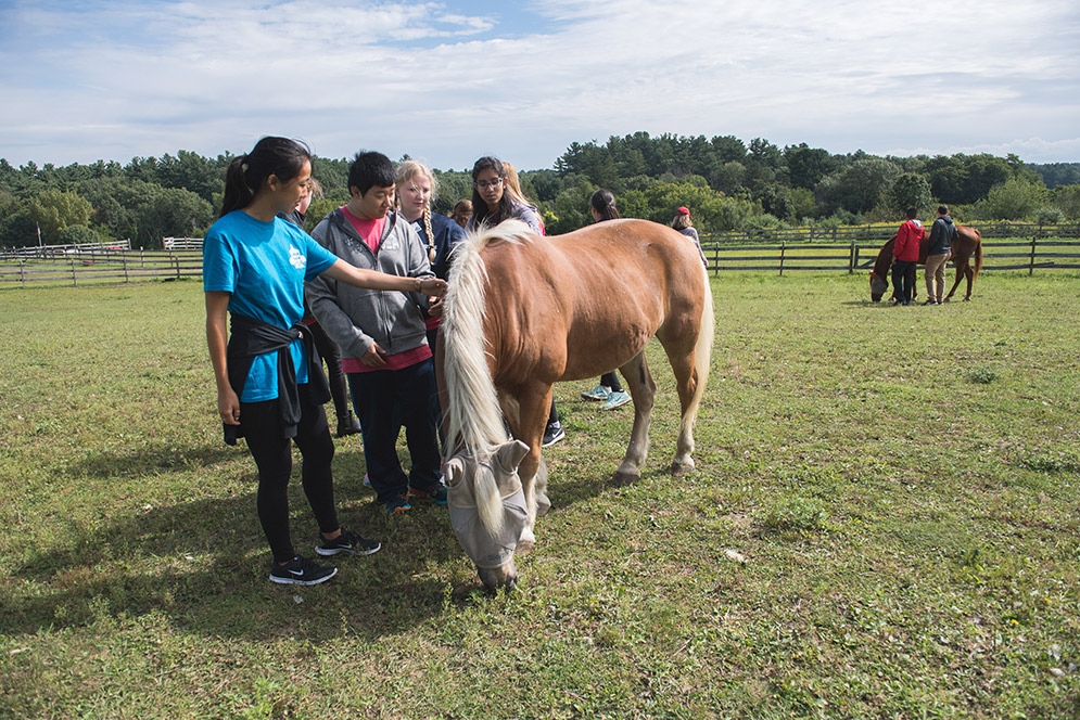 FYSOP volunteers petting horses at Strongwater Farm Therapeutic Equestrian Center