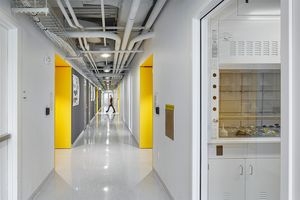 A lab in the Rajen Kilachand Center for Integrated Life Sciences and Engineering science building at Boston University, which was built to encourage collaboration and foster interdisciplinary science