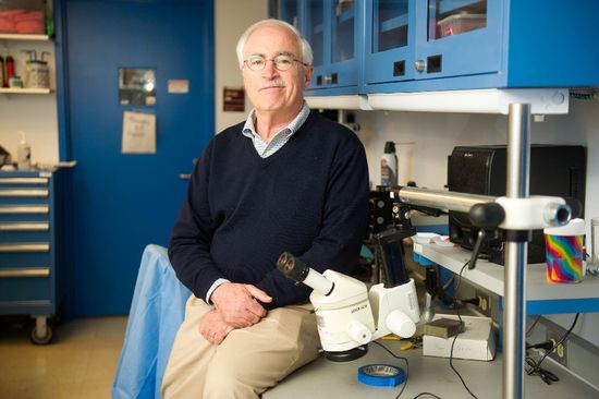 Howard Eichenbaum