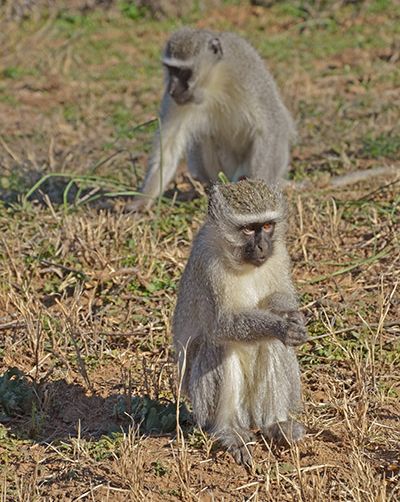 400x604_DSC_4290