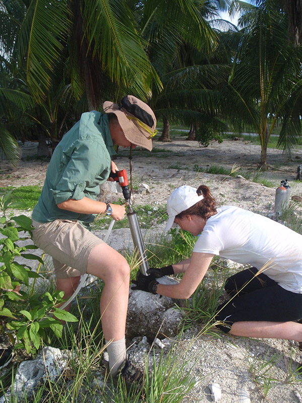 Researchers remove a core from a fossilized coral colony. They hope fossilized coral cores will help them re-create wind records from thousands of years ago.