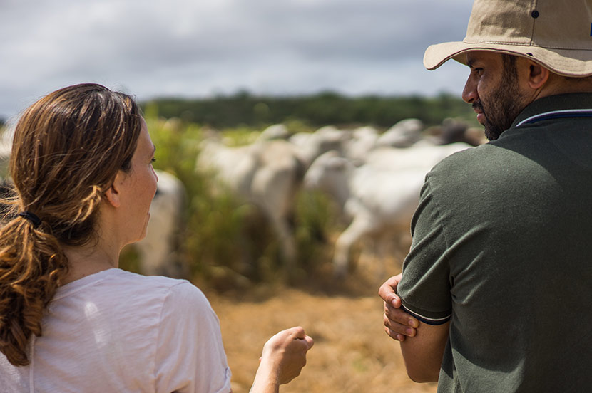 Garrett and rancher with grazing cattle