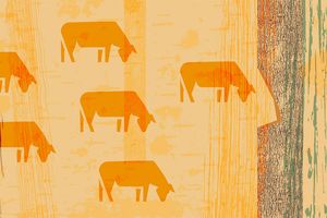 cattle and trees illustration