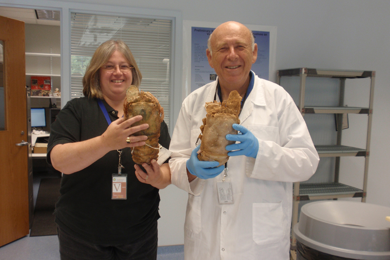 Kari Lavalli and Ehud Spanier, a professor at the University of Haifa in Israel, conducted morphological studies on slipper lobsters at the Smithsonian Institution in Washington, D.C. Courtesy of Kari Lavalli