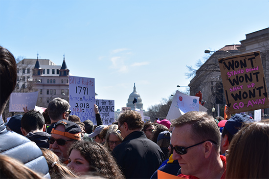 View of the Capitol Building from the Washington DC March for Our Lives, March 24, 2018