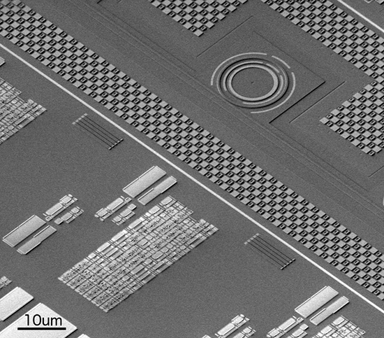 Three-dimensional electron microscope image of a region of the BU-MIT-UC Berkeley electronic photonic chip, showing a photonic ring resonator in the top right alongside an electronic circuit block in the bottom left.