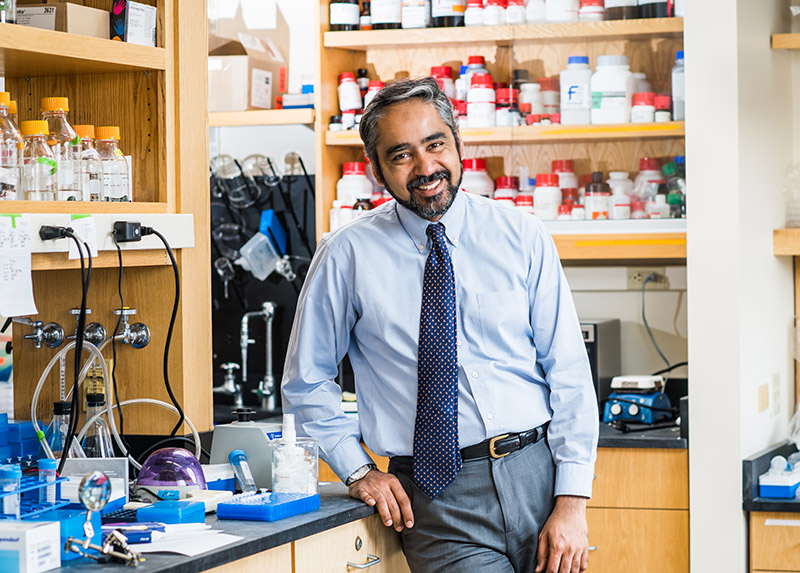 Portrait of Muhammad Zaman, Boston University professor of engineering