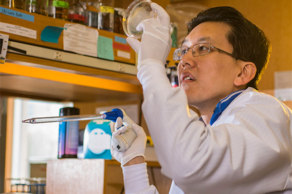 Assistant Professor Wilson Wong (BME).