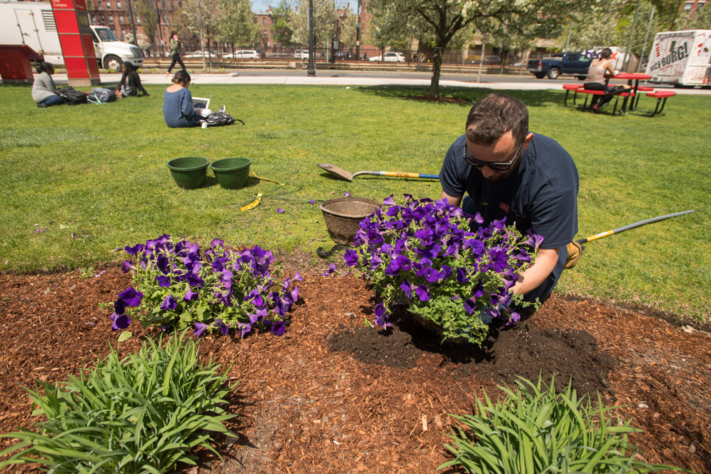 Planting Flowers 