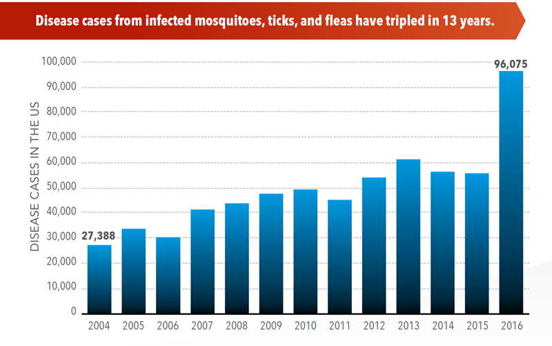 Disease cases have tripled