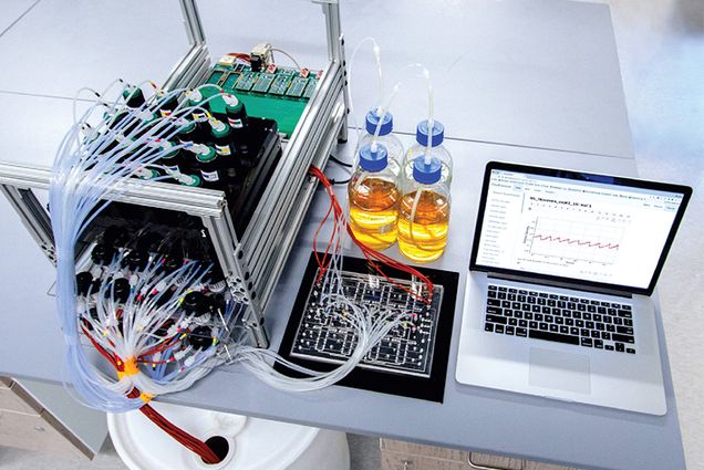 Entire eVOLVER platform for growing microbes in the lab