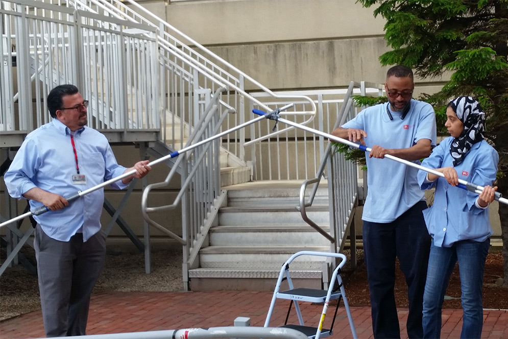 Boston University Facilities workers assemble a pole to try to save a falcon chick who crashed into a window.