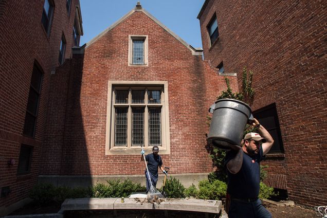 Fenway Campus pruning
