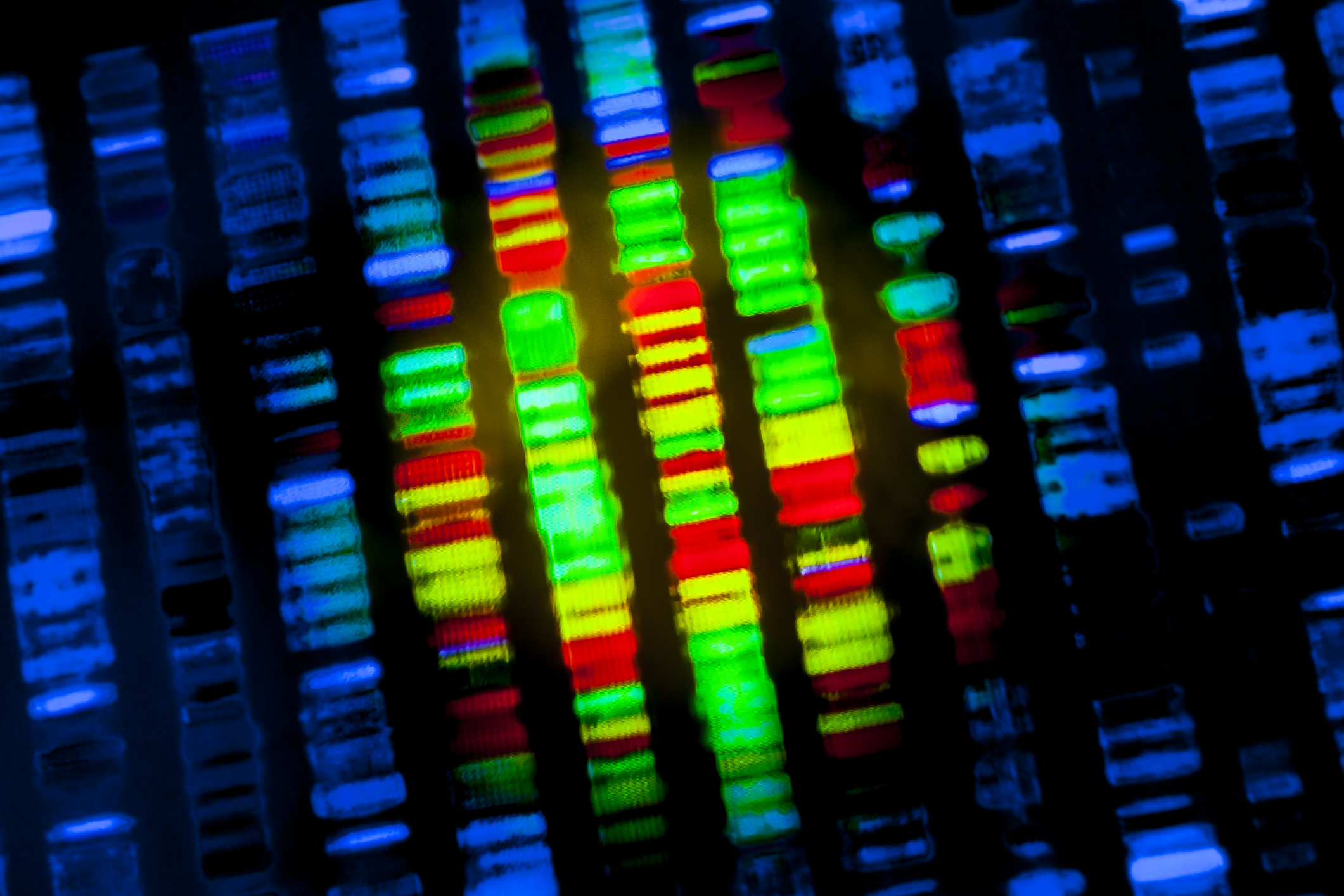 DNA sequence in blu color