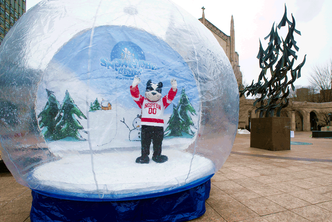 BU's mascott Rhett in a snowglobe on Marsh Plaza