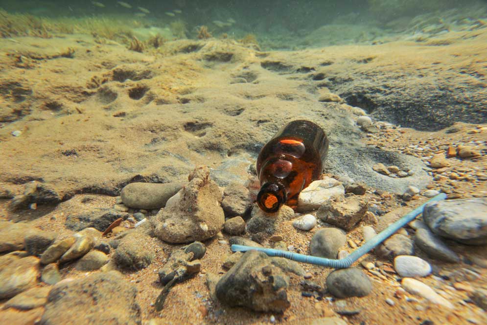 A plastic straw and bottle litter the ocean floor