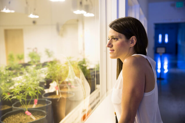 Mattio looks at plants at a Dispensary in Seattle