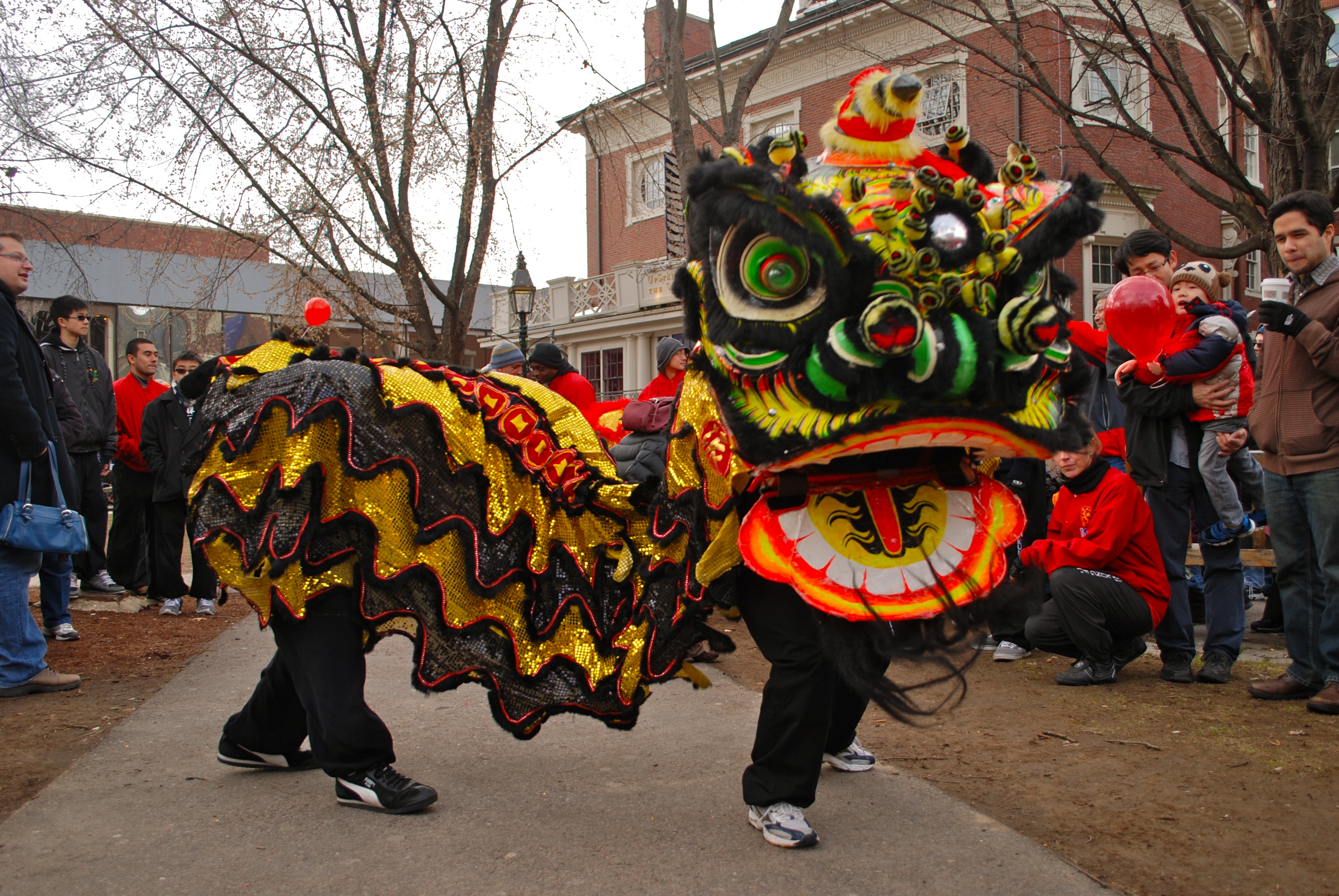 Chinese New Year celebration