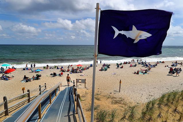 ORLEANS, MA - AUGUST 31: A shark flag blows in the wind at an entrance point to Nauset Beach in Orleans, MA on Aug. 31, 2018. Shark sightings are an almost daily occurrence on Cape Cod over the summer. (Photo by John Tlumacki/The Boston Globe via Getty Images)