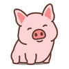 cute graphic of a pig