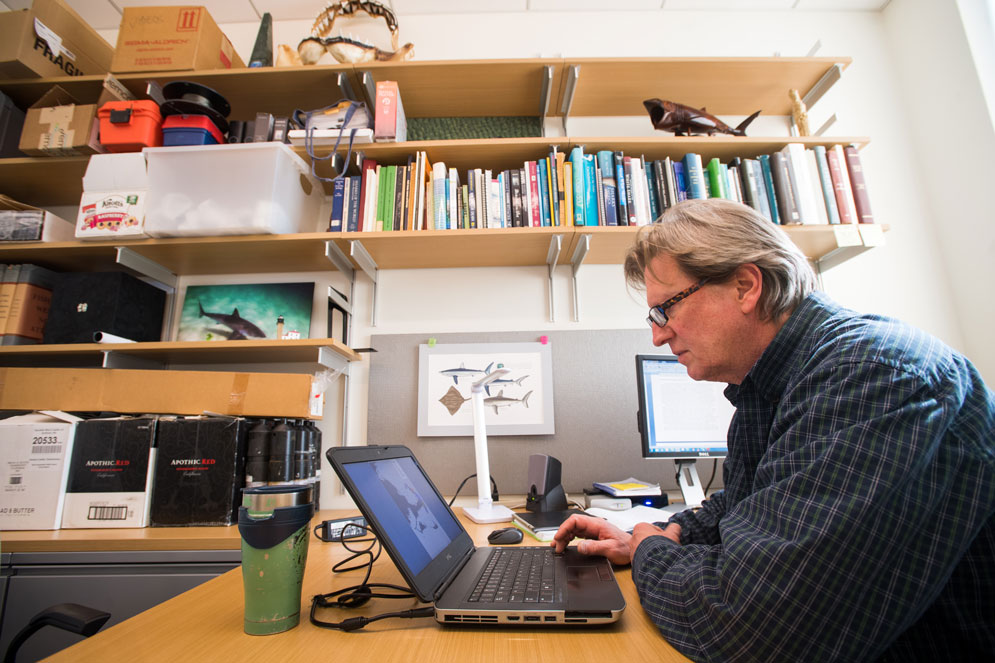 Greg Skomal in his office surrounded by Shark paraphernalia