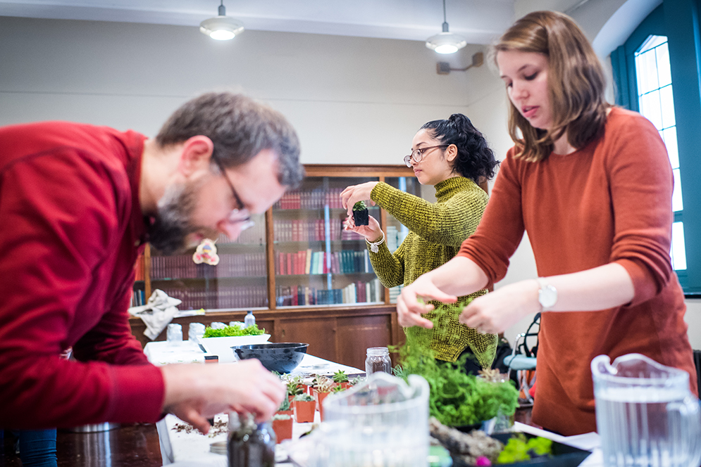 BU Graduate students make Terrariums