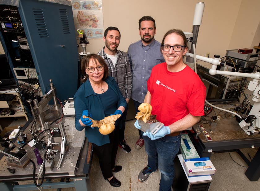 Darlene Ketten, from left, Andrew Tubelli, Graham Voysey, and Aleks Zosuls holding Vector's whale ears.