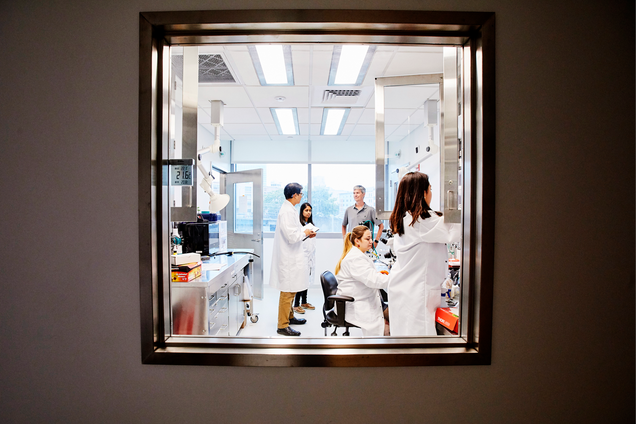 David Boas, director of BU’s Neurophotonics Center, collaborates with researchers in his lab. Photo by Kelly Davidson
