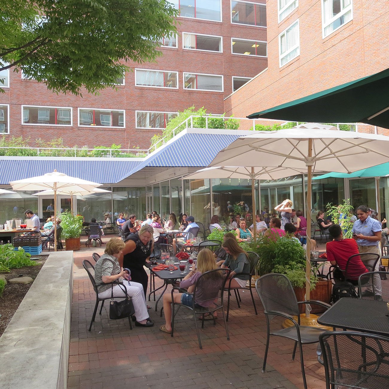 Best Outdoor Dining In Boston And Cambridge Bu Today Boston University Best Outdoor Dining In Boston And Cambridge Bu Today Boston University
