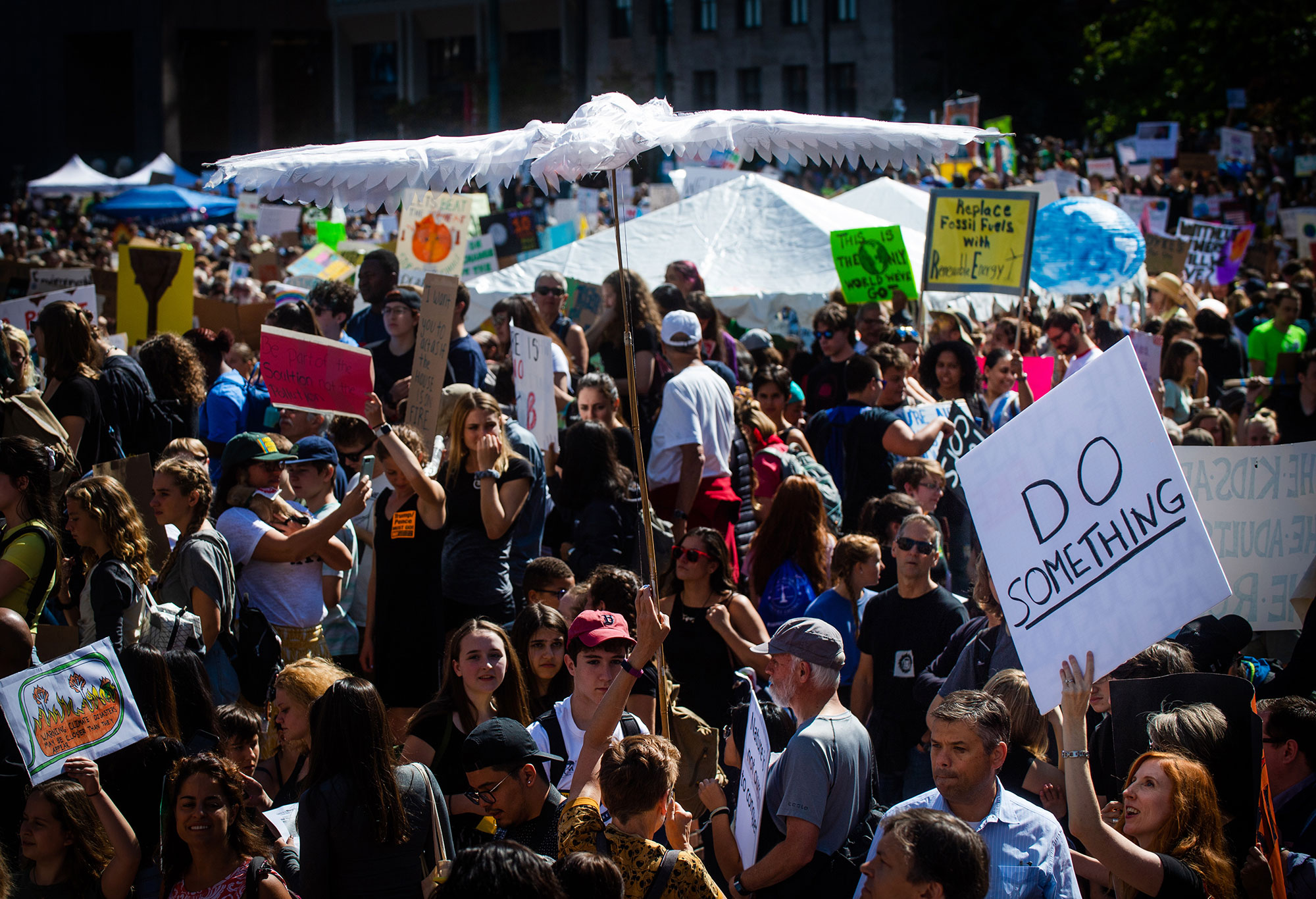 A large crowd of people hold signs and protest during the Youth Climate Strike on City Hall Plaza, Boston.