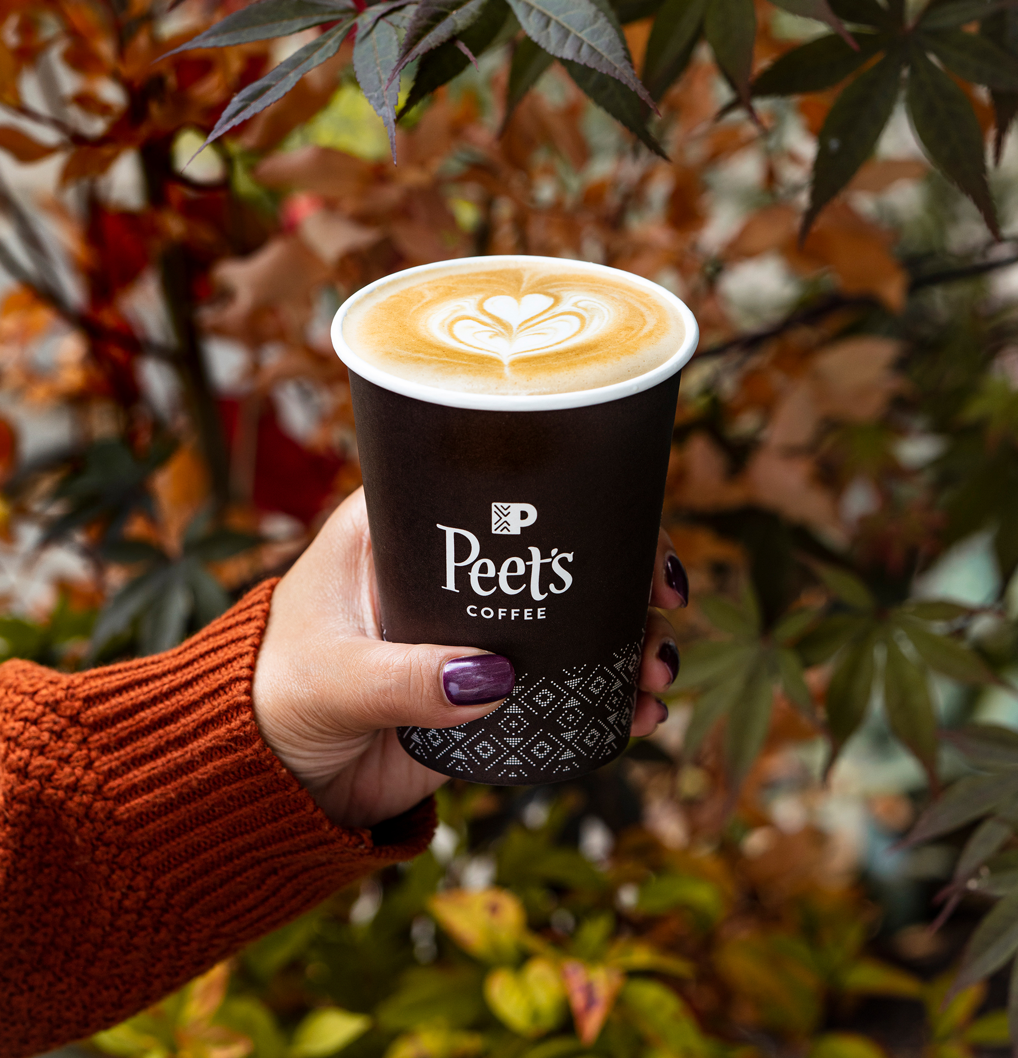 Pumpkin Chai Latte from Peet's coffee