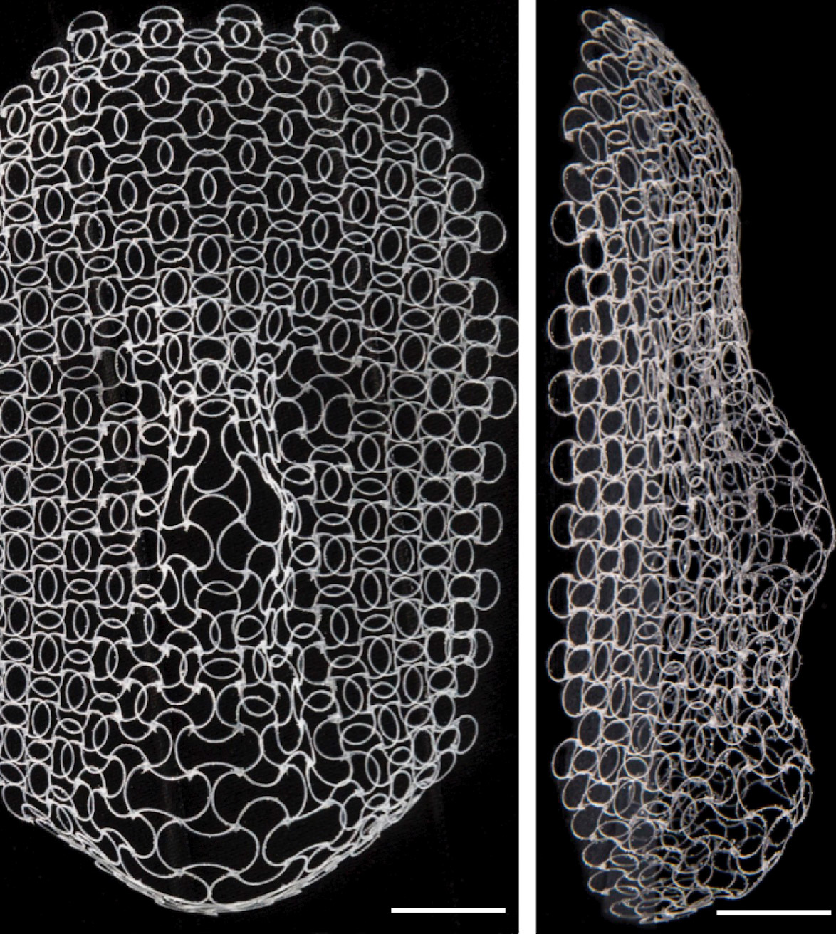 Images of a 4D printed face structure from the front and profile positions.