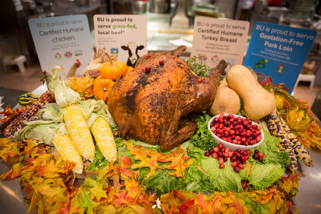 A photo of a turkey surrounded by pumpkins, cranberries, and gourds