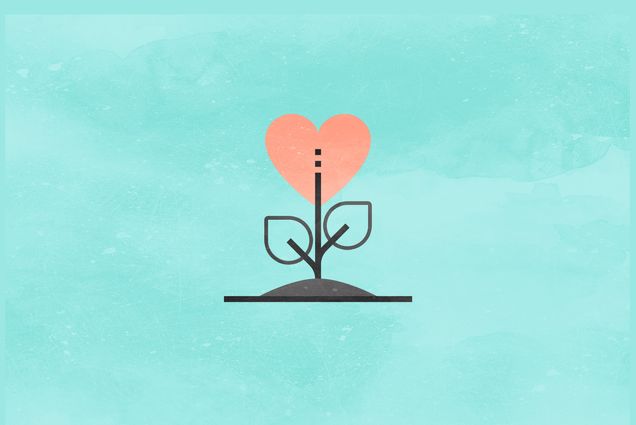 An illustration of a heart-shaped plant